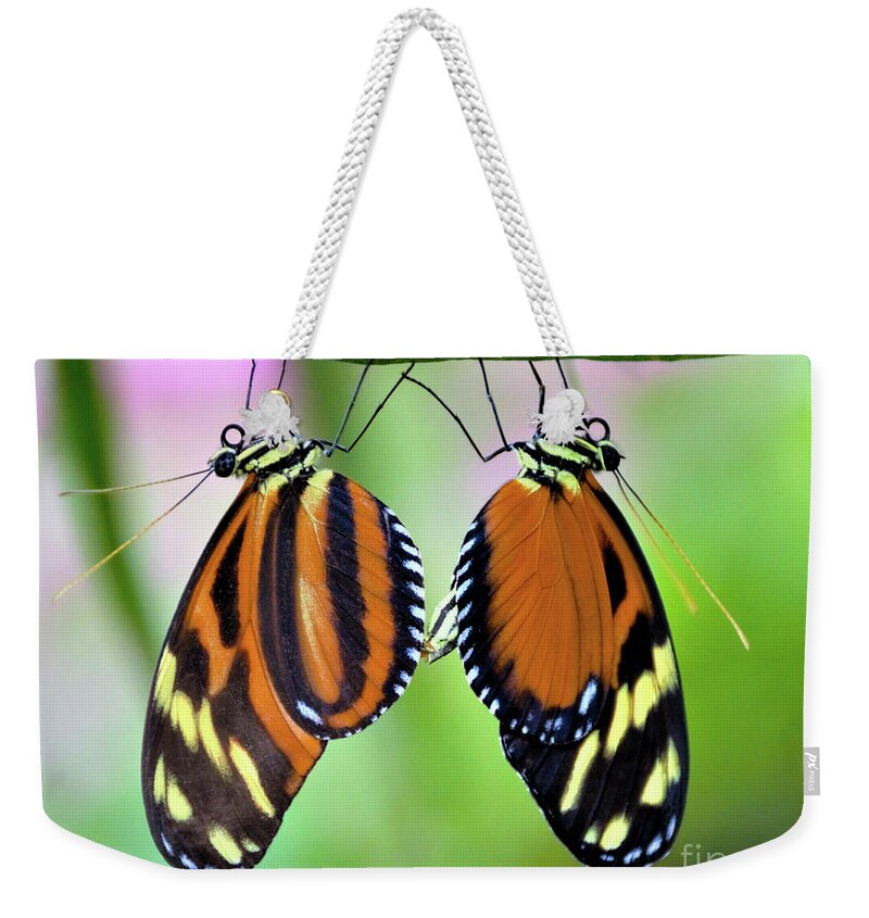 Mimic Tigerwing Butterfly Weekender Tote Bag featuring the photograph Come Together by Kathy Kelly