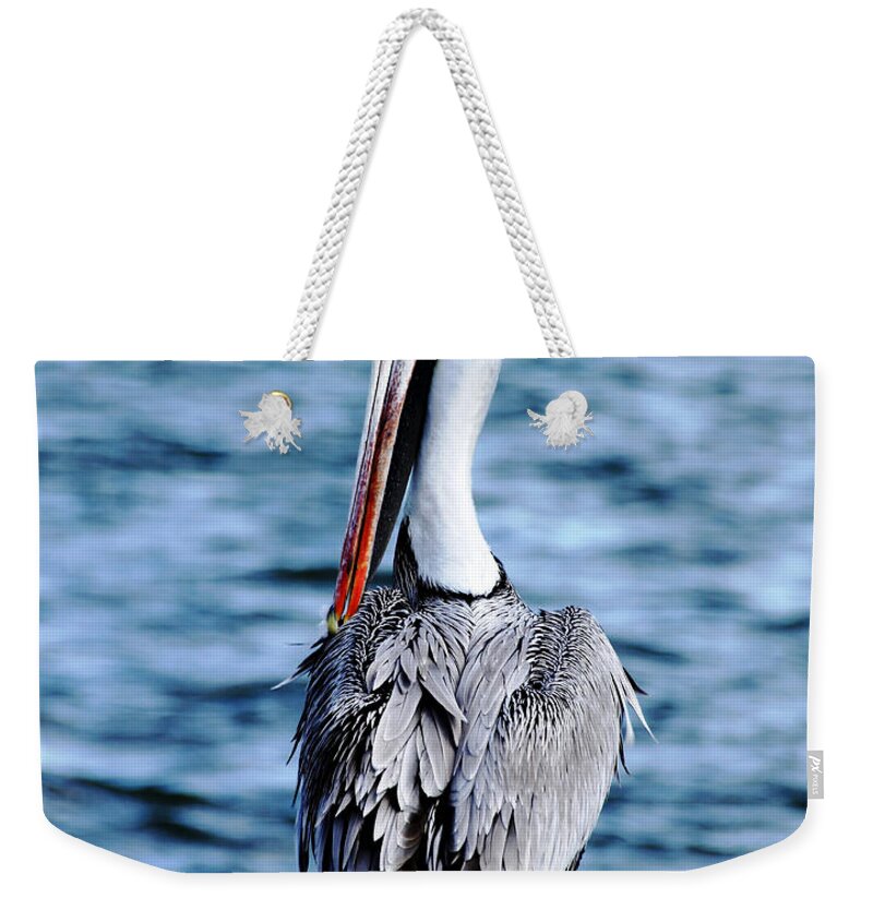 Brown Pelican Weekender Tote Bag featuring the photograph Comically Elegant by Debbie Oppermann