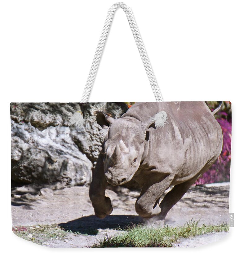 Animals Weekender Tote Bag featuring the painting Coming At Ya by Judy Kay