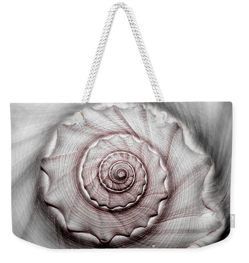 Sea Weekender Tote Bag featuring the photograph Coming or Going by Tammy Schneider