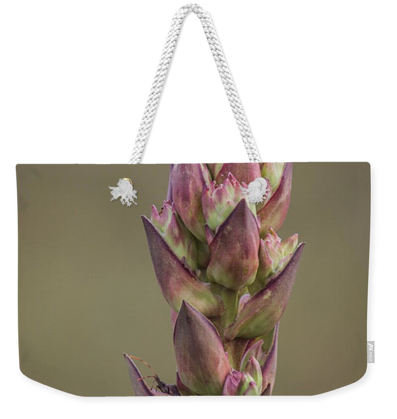 Plant Weekender Tote Bag featuring the photograph Coming Out Insect by Roberta Byram