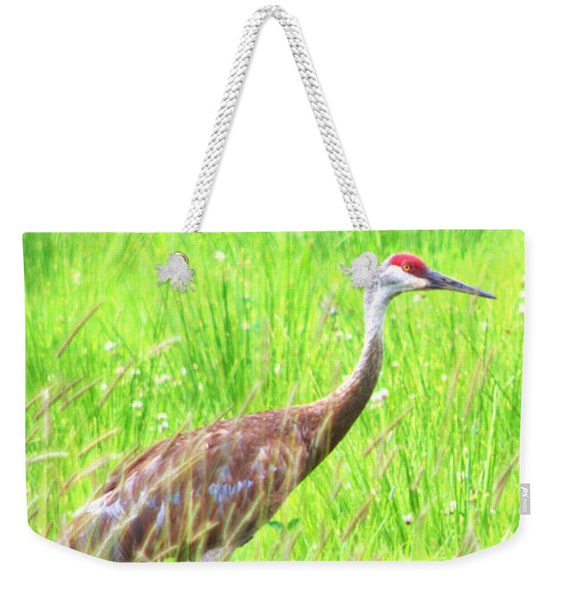  Weekender Tote Bag featuring the photograph Common Crane Hide by Kimberly Woyak