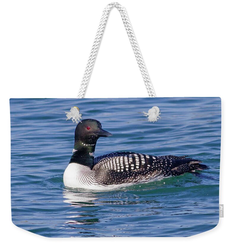 Mark Miller Photos Weekender Tote Bag featuring the photograph Common Loon in Monterey Bay by Mark Miller