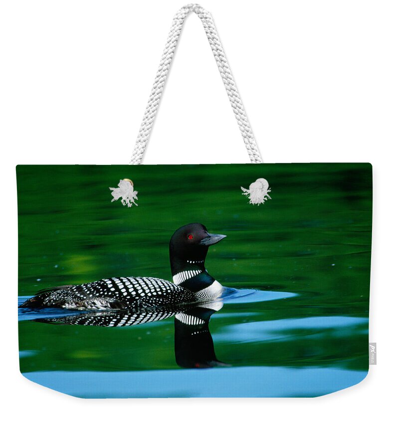 Photography Weekender Tote Bag featuring the photograph Common Loon In Water, Michigan, Usa by Panoramic Images