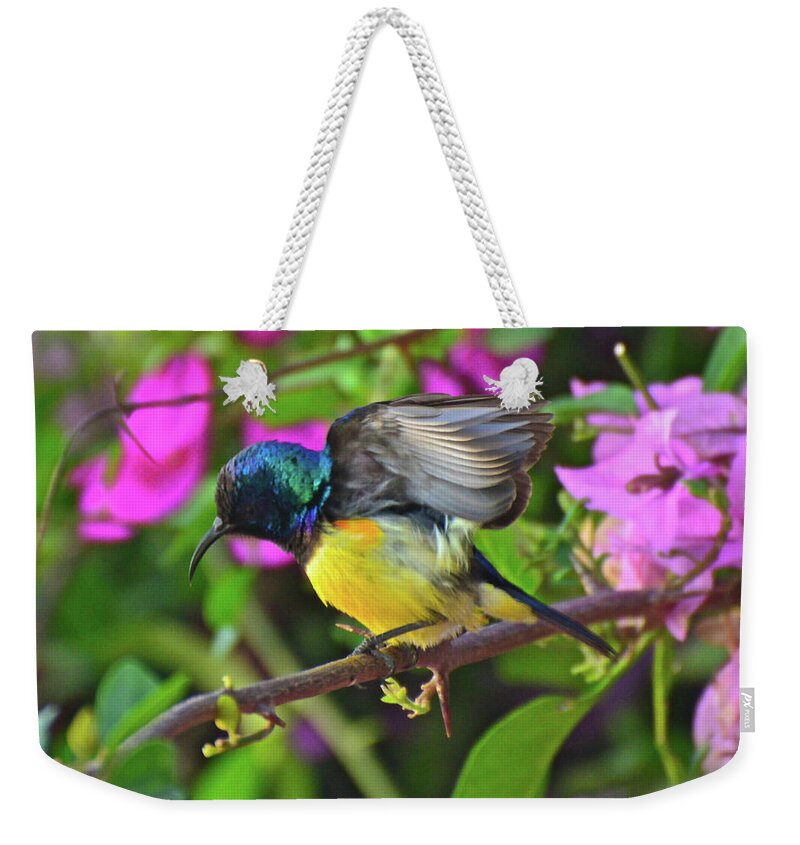 Sunbird Weekender Tote Bag featuring the photograph Completing Preflight by Don Mercer