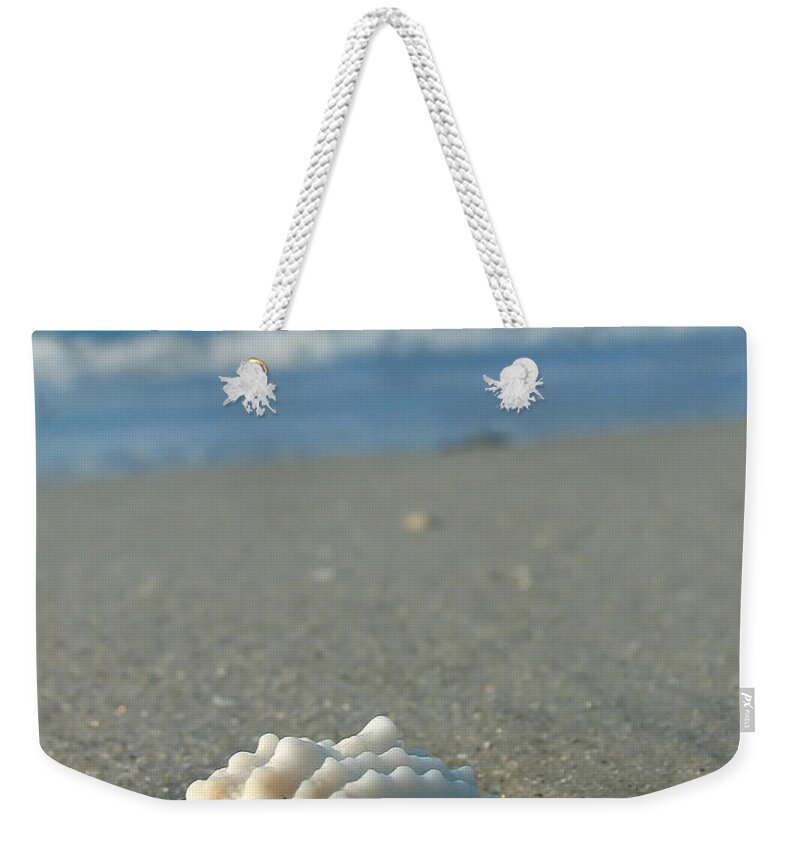Beach Weekender Tote Bag featuring the photograph Conch Shell by Juergen Roth