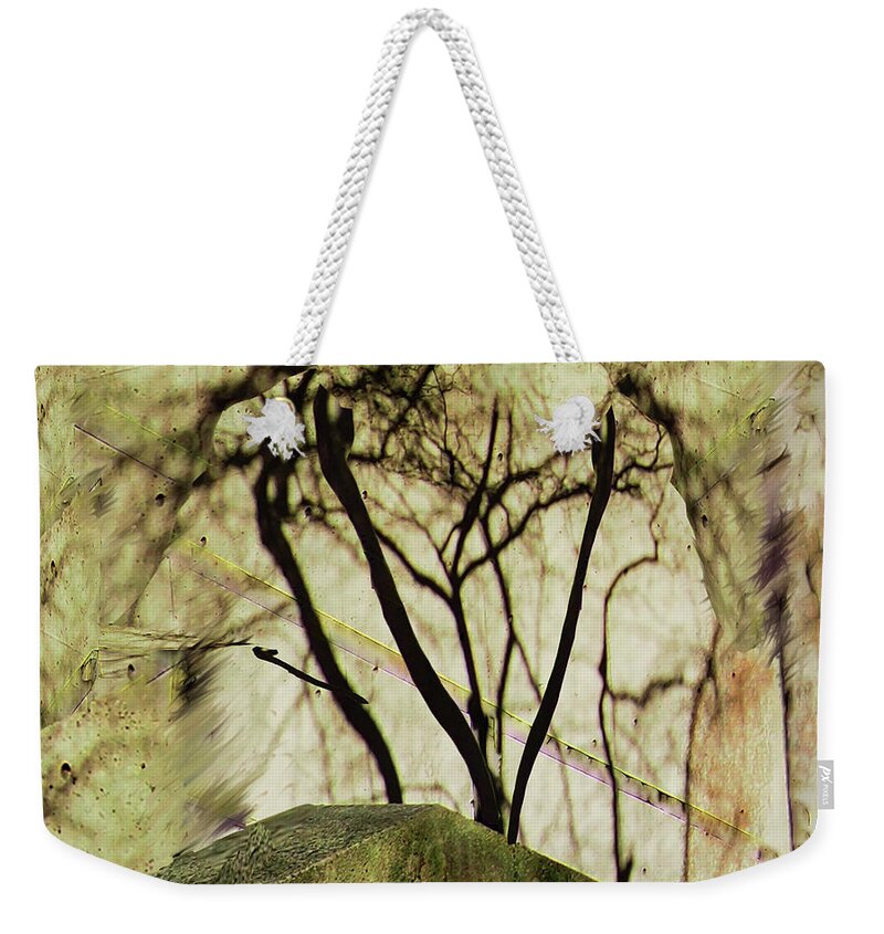 Abstract Concrete Wall Shadow Reflection Tree Rutgers Newark Hill Hall Weekender Tote Bag featuring the photograph Concrete Jungle by Leon deVose