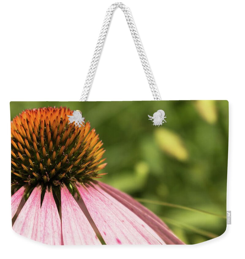 Wildflower Weekender Tote Bag featuring the photograph Coneflower by Holly Ross