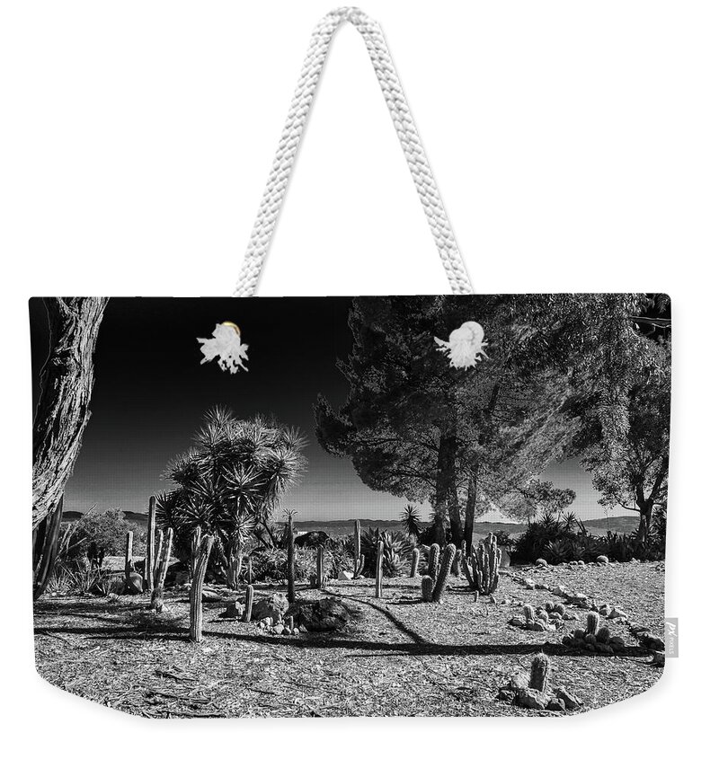 Conejo Botanical Gardens Cactus Black White Surreal Prickly Pear Tree Desert Weekender Tote Bag featuring the photograph Conejo Cactus by Ross Henton