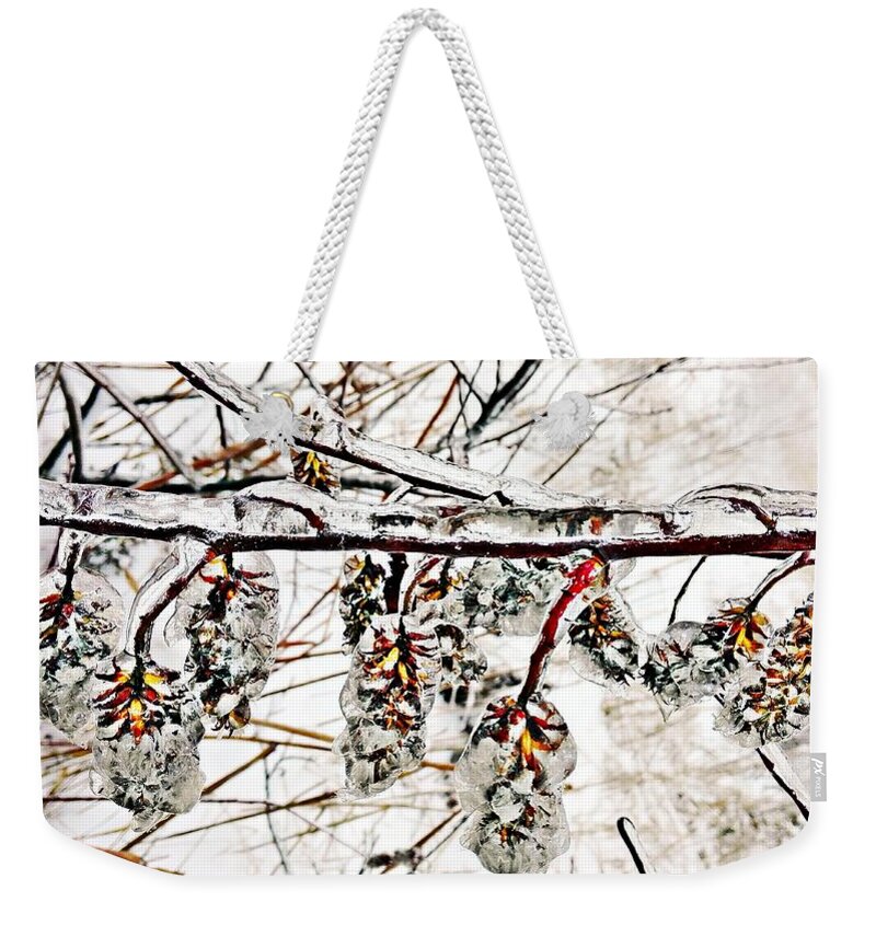 Winter Weekender Tote Bag featuring the photograph Cones-icicles. by Olga Vlasova