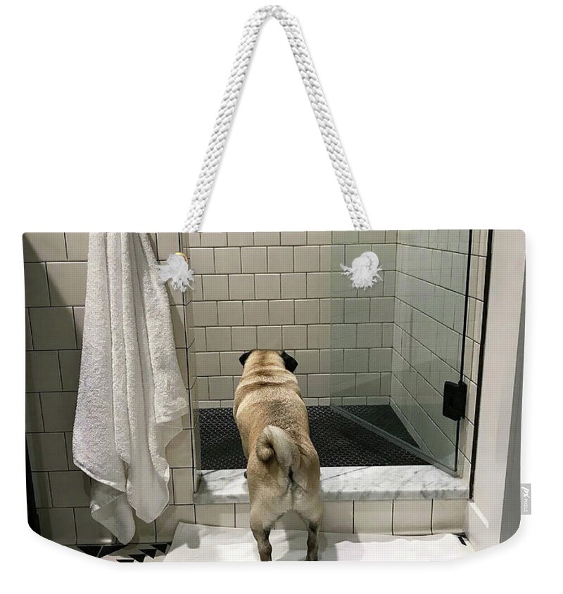 Pug Weekender Tote Bag featuring the photograph Contemplating by Jackson Pearson