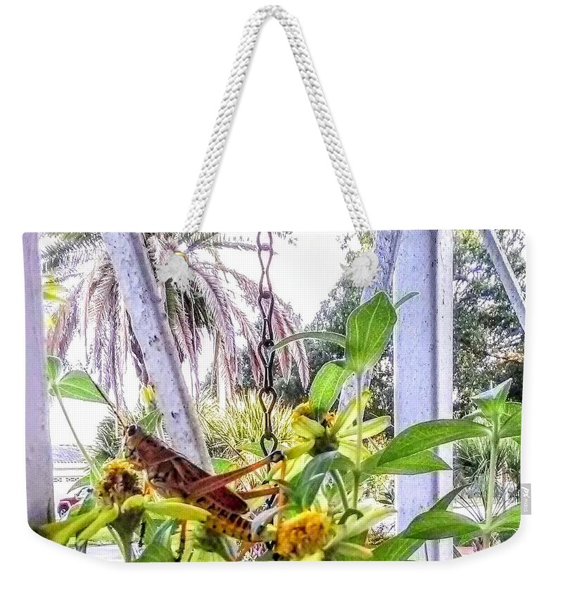 Grasshopper Weekender Tote Bag featuring the photograph Contemplating by Suzanne Berthier