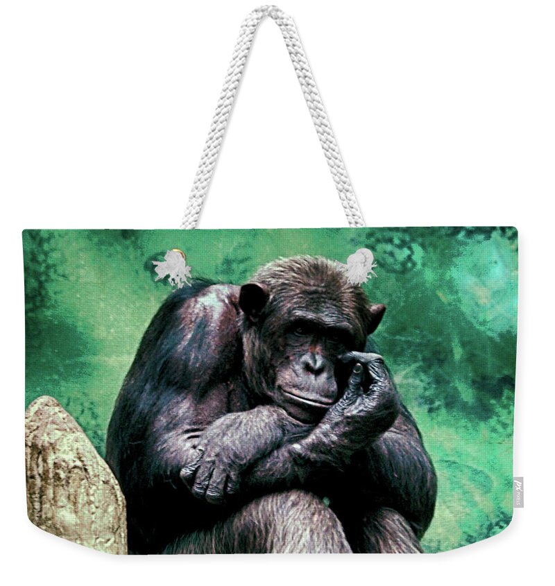 Gorilla Weekender Tote Bag featuring the photograph Contemplation by C H Apperson
