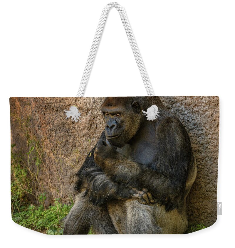 Gorilla Weekender Tote Bag featuring the photograph Contemplation by Michael McKenney