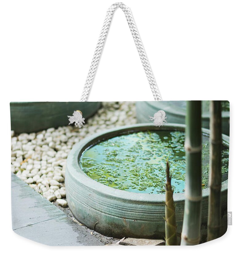 Asia Weekender Tote Bag featuring the photograph Contemporary Asian Tropical Garden Design Exterior by JM Travel Photography