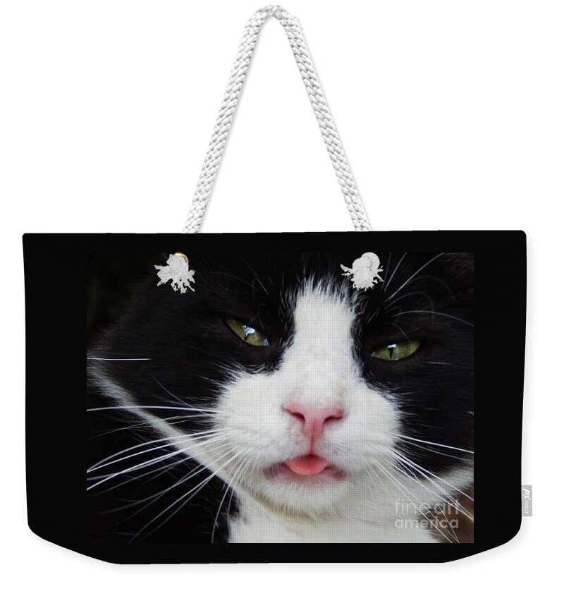 Cat Feline Pet Animal Mammal Nature Whiskers Tongue Comical Funny Care Love Black White Cat-eyes Emotion Weekender Tote Bag featuring the photograph Contentment by Jan Gelders
