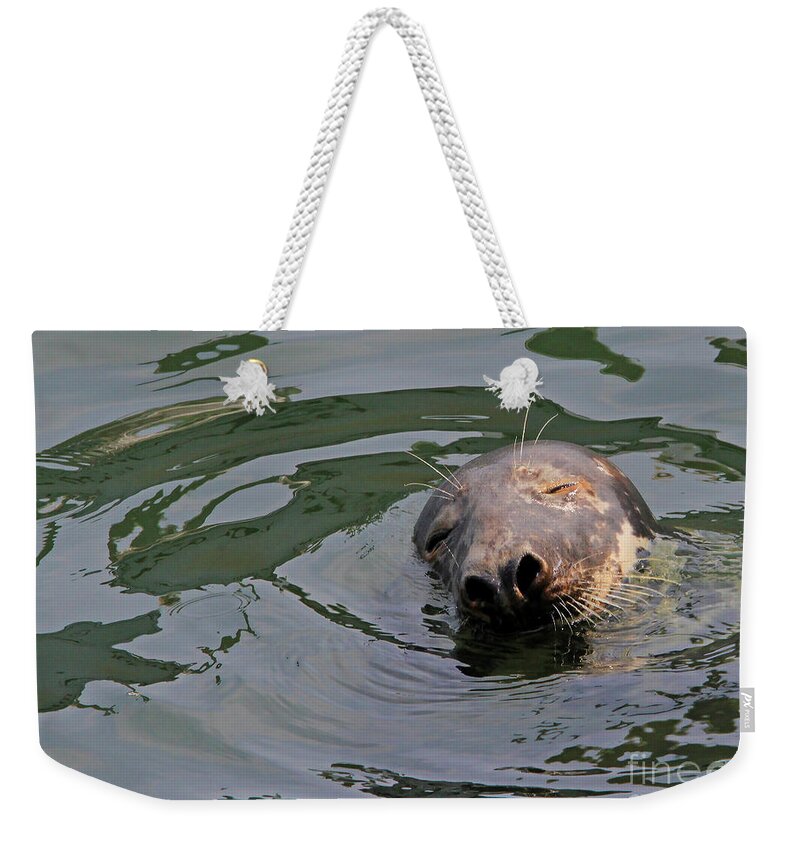 Seal.cape Cod Weekender Tote Bag featuring the photograph Contentment by Paula Guttilla