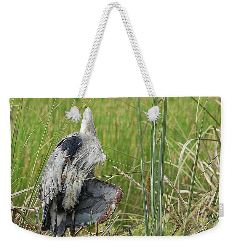 Great Weekender Tote Bag featuring the photograph Contortionist Great Blue Heron by Richard Goldman