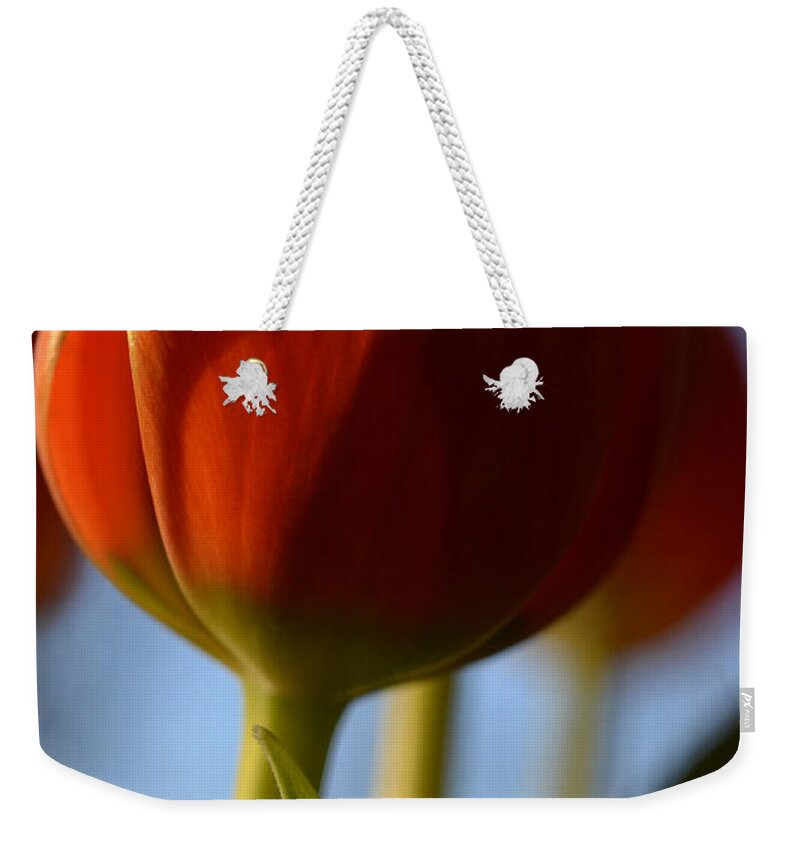 Tulips Weekender Tote Bag featuring the photograph Contrast by Corinne Rhode