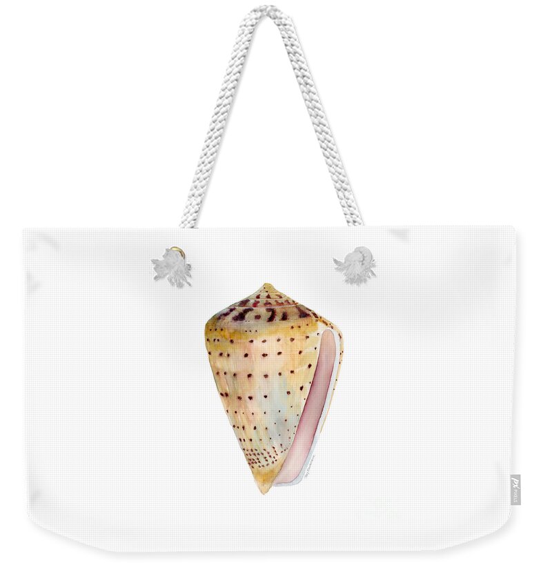 Leopardus Shell Painting Shells Watercolor Seashell Sea Conus Leopardus Orange Pink Brown Tan Blue Pink Purple Dots White Background Sea Shell Painting Shell Painting Watercolor Sea Shell Watercolor Beach Shell Watercolor Shells Beach Shell Painting Beach Shell Face Mask Weekender Tote Bag featuring the painting Conus Leopardus Shell by Amy Kirkpatrick