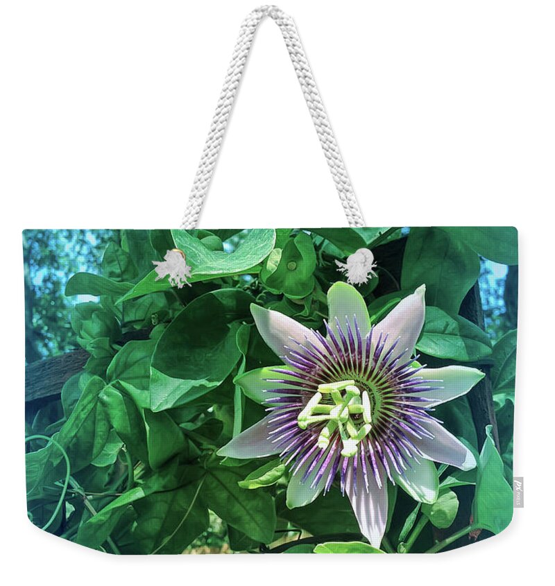Passion Flower Weekender Tote Bag featuring the photograph Cool Blue Passion Flower 3 by Aimee L Maher ALM GALLERY