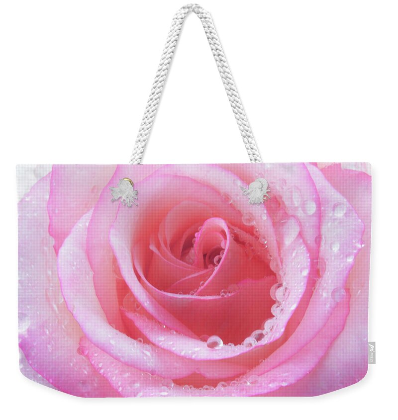 Rose Weekender Tote Bag featuring the photograph Cool Candy Rose by Terence Davis