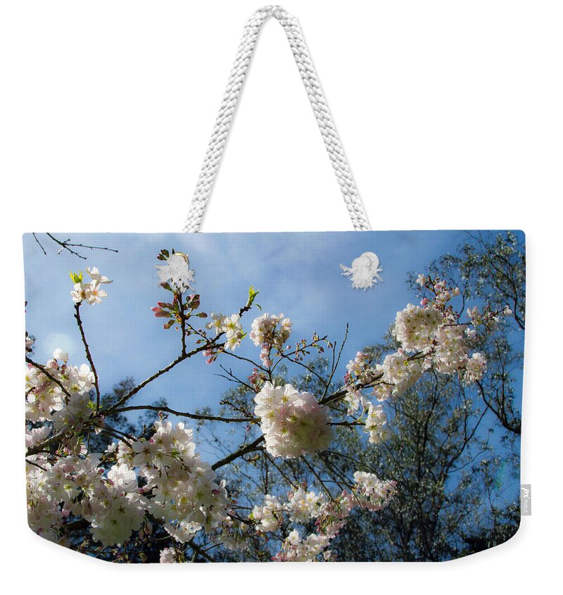 Cool Cherry Blossoms Weekender Tote Bag featuring the photograph Cool Cherry Blossoms by Bonnie Follett