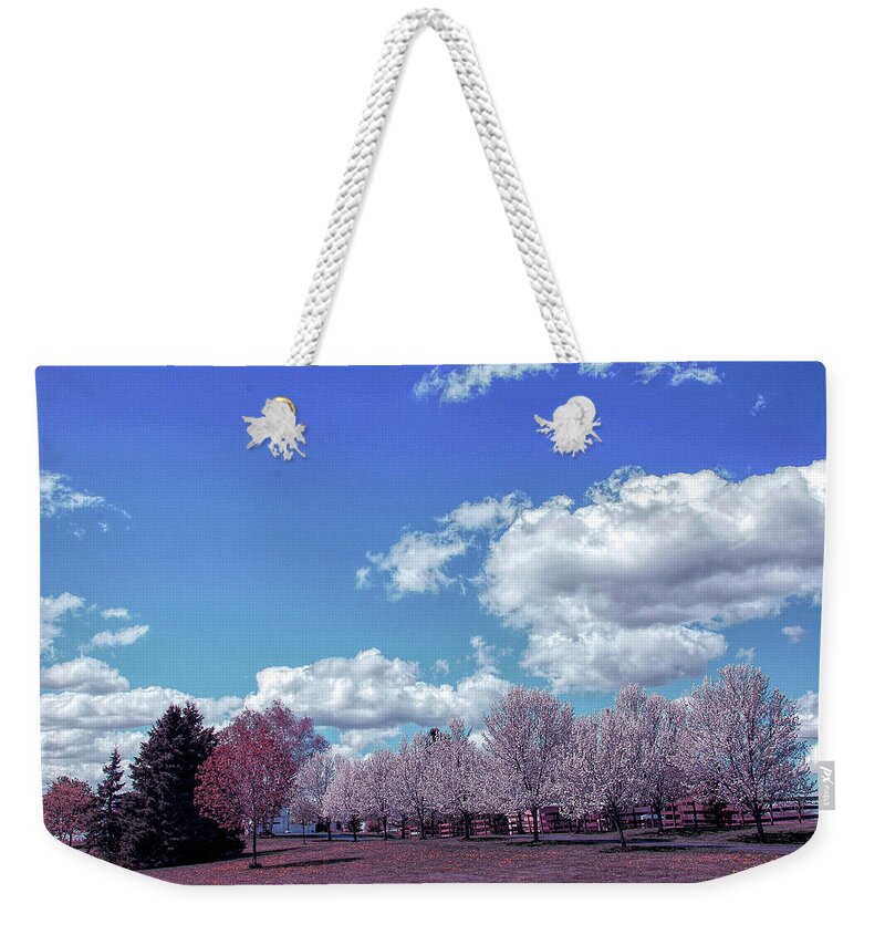Spring Weekender Tote Bag featuring the photograph Cool Sunset Perfect Day by Aimee L Maher ALM GALLERY