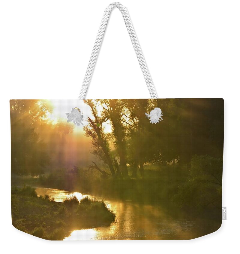 Fog Weekender Tote Bag featuring the photograph Coon Creek Rays 2 by Bonfire Photography