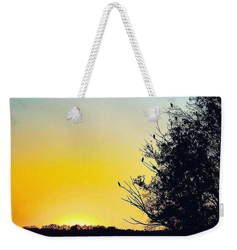 Sunset Weekender Tote Bag featuring the photograph Coosa sunset by Jon Paul Billingsley Jr