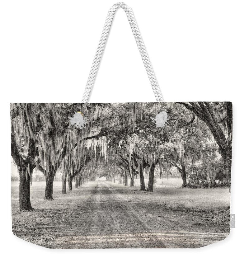 Fog Weekender Tote Bag featuring the photograph Coosaw Plantation Avenue of Oaks by Scott Hansen