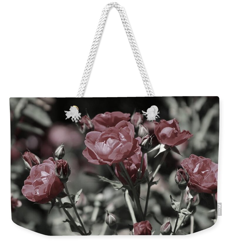 Copper Pink Rose Weekender Tote Bag featuring the photograph Copper Rouge Rose in Almost Black and White by Colleen Cornelius