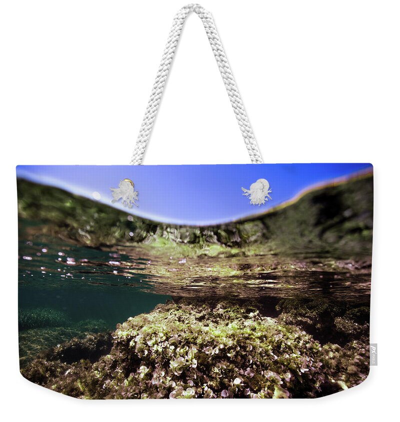 Underwater Weekender Tote Bag featuring the photograph Coral Beauty by Gemma Silvestre