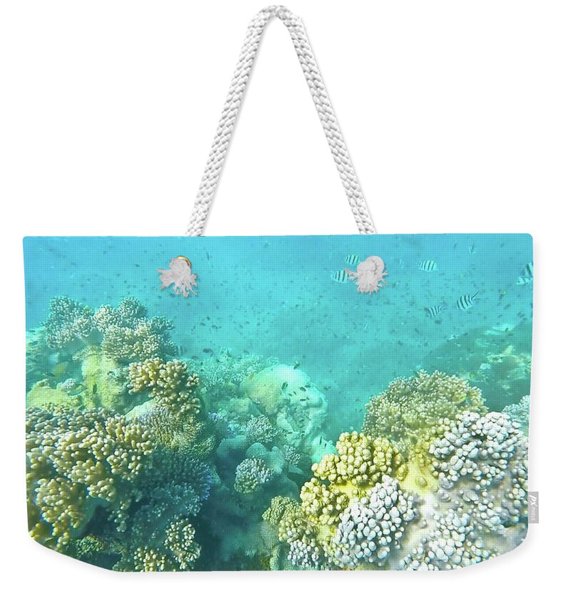 Coral Weekender Tote Bag featuring the photograph Coral by Debbie Cundy