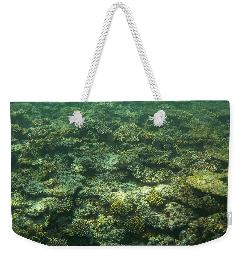 Okinawa Weekender Tote Bag featuring the photograph Coral Reef by Minami Daminami