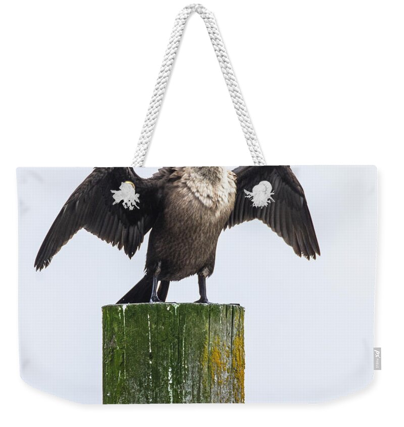 Natanson Weekender Tote Bag featuring the photograph Cormorant Conducting by Steven Natanson