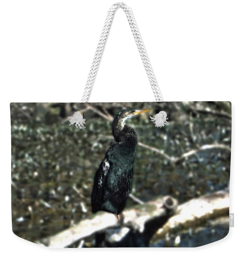 Cormorant Weekender Tote Bag featuring the photograph Cormorant by Judy Hall-Folde