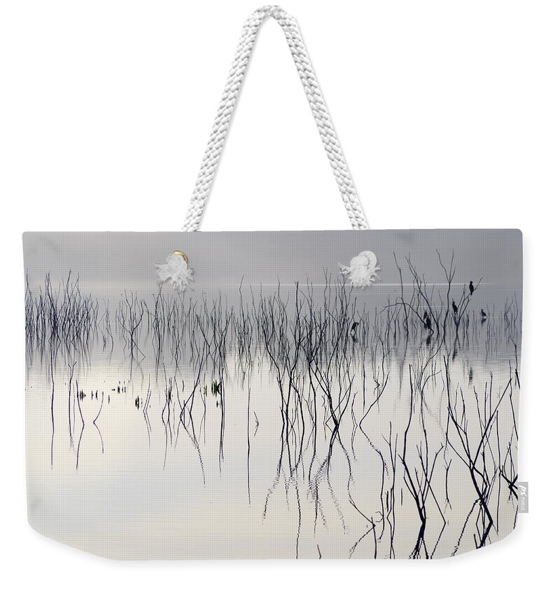 Wildlife Weekender Tote Bag featuring the photograph Cormorants waiting for the night by Guido Montanes Castillo