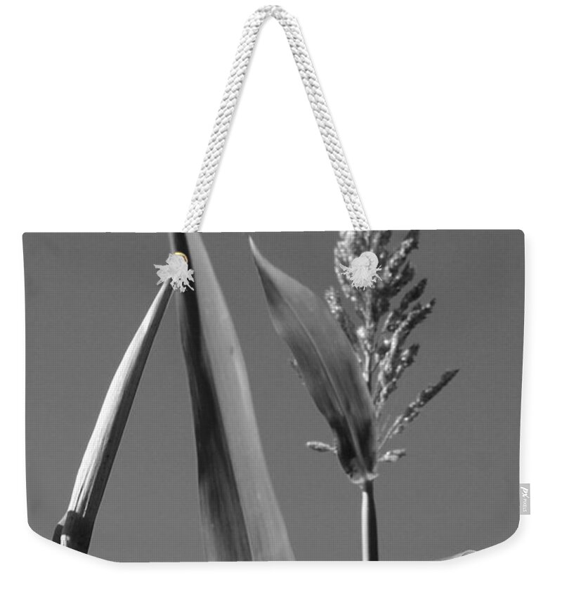 Corn Weekender Tote Bag featuring the photograph Corn Stalk in Black and White by Robert Wilder Jr