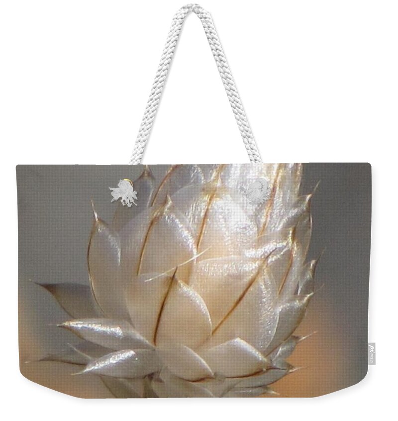 Centaurea Weekender Tote Bag featuring the photograph Cornflower Seed Pod by Michele Penner