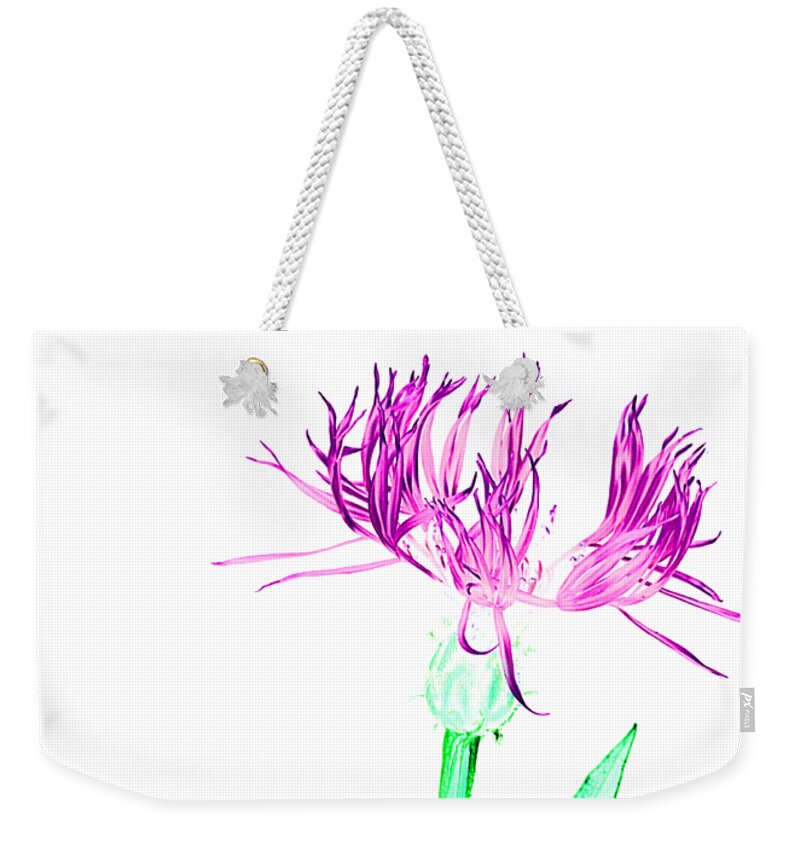 Digital Print Weekender Tote Bag featuring the photograph Cornflower3 T-shirt by Tony Mills