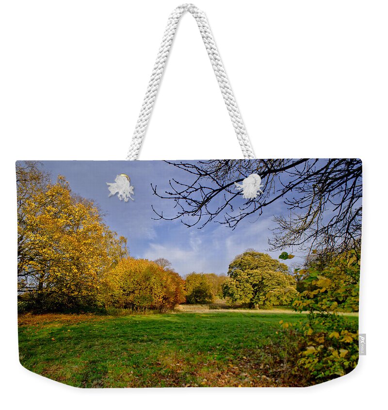 Scotland Weekender Tote Bag featuring the photograph Corstorphine fall by Elena Perelman