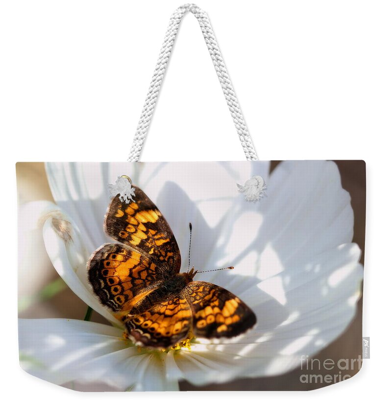 White Weekender Tote Bag featuring the photograph Pearl Crescent Butterfly on White Cosmo Flower by Angela Rath