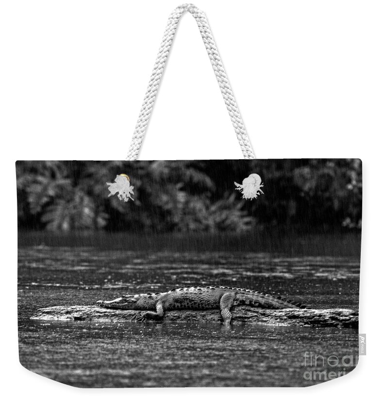 Black And White Weekender Tote Bag featuring the photograph Costa_rica_25-17 by Craig Lovell