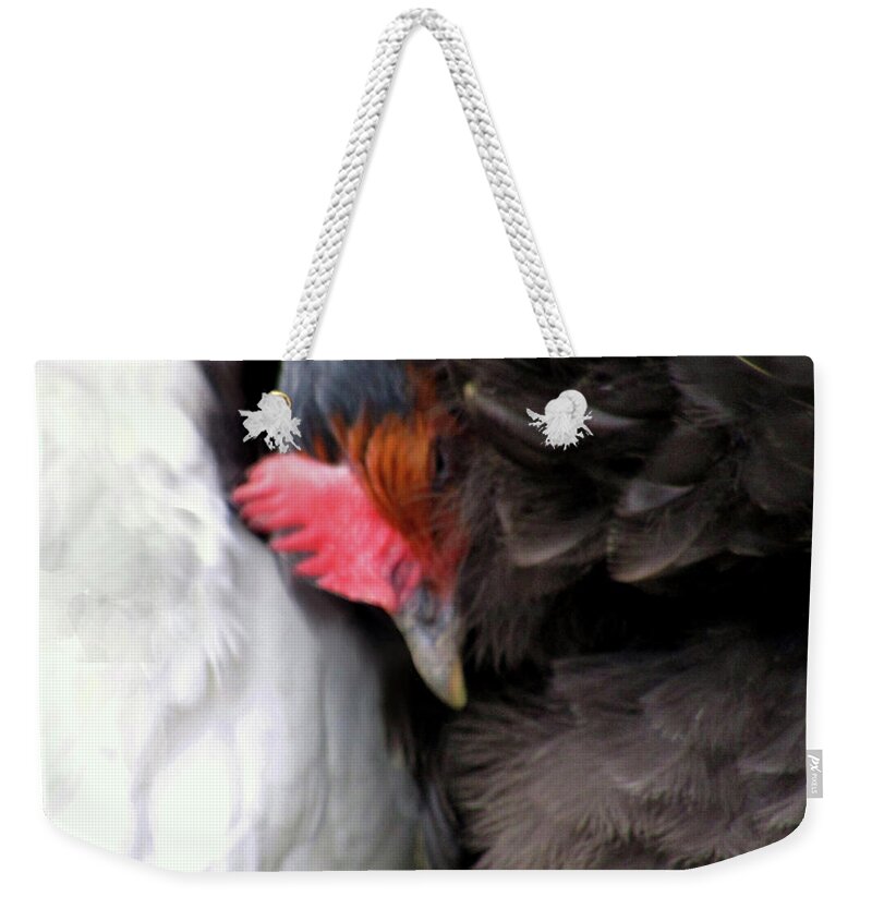 Hens Weekender Tote Bag featuring the photograph Cosy Time by Kim Tran