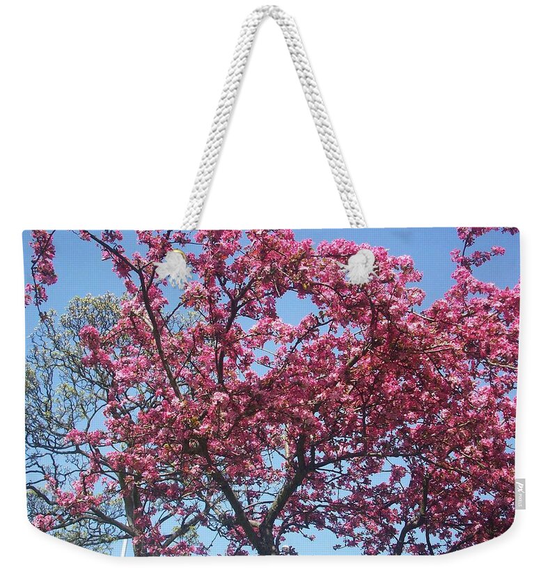Cotton Candy Weekender Tote Bag featuring the photograph Cotton Candy Tree by Judith Desrosiers