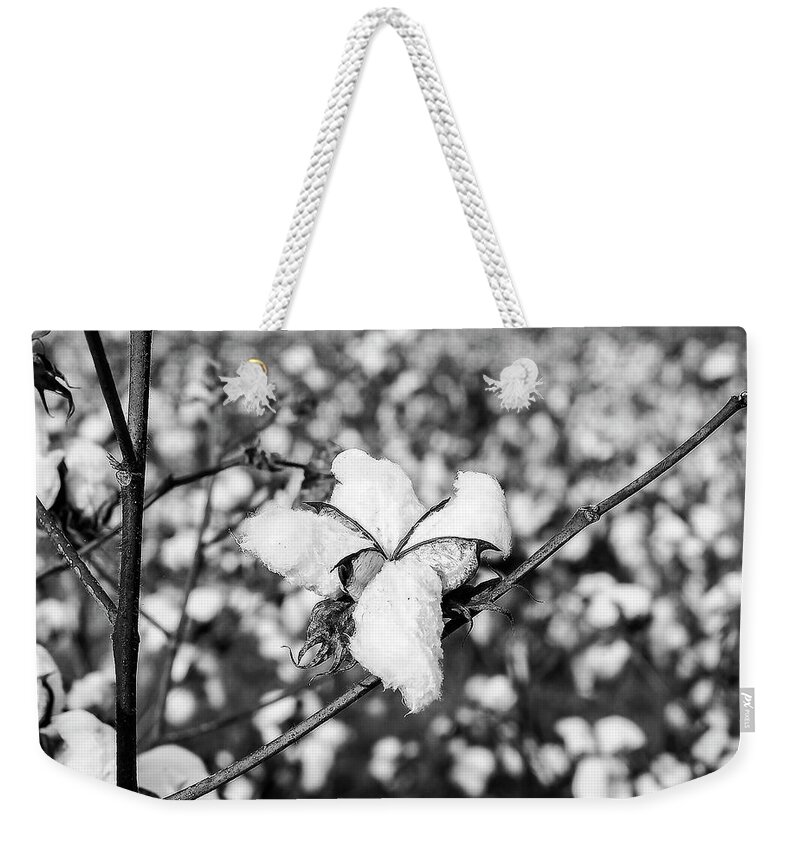 Cotton Weekender Tote Bag featuring the photograph Cotton by Jerry Connally