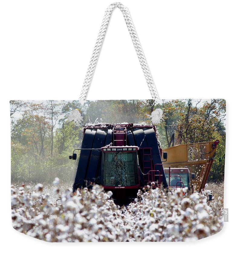 Ag Weekender Tote Bag featuring the photograph Cotton Tops by David Zarecor