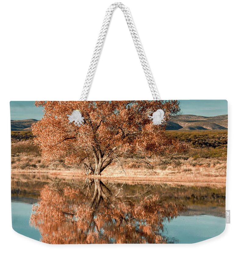 Birds Weekender Tote Bag featuring the photograph Cotton wood tree by Usha Peddamatham