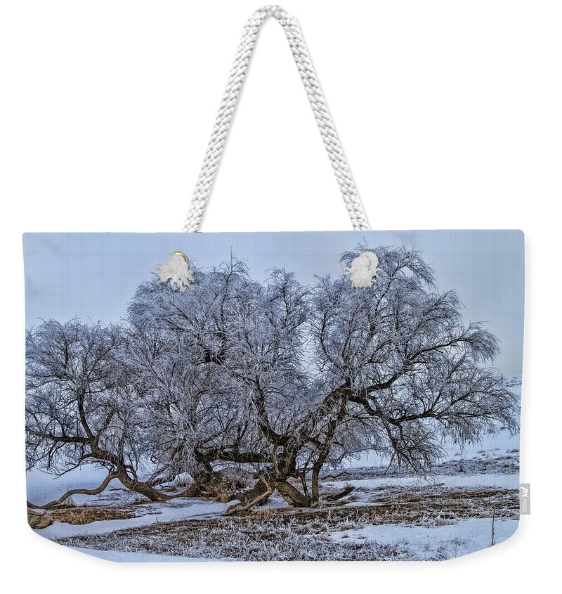 Cottonwood Weekender Tote Bag featuring the photograph Cottonwood Sprawl by Alana Thrower